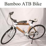 2014 unique bamboo bike with full automatic gear box three speed-HH1