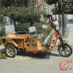 Luxury and leisure electric tricycle adults for two passengers and cargo with smart controller-BDFDL65Z