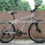 alloy mountain bike-