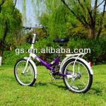 20&quot; Steel folding bike-GS1602