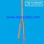 TSB-FK04 high quality Mini Velo titanium fork-TSB-FK04