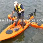 Winix Fishing Kayak / Canoe with 40lbs motor (Haswing)-HE54600