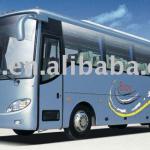 electric bus-TS1000010-TESUO