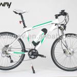 EN15194 approval Excellent electric bicycle,electric bike for man/woman-AM206/205/209/207/208/212/211/214/215/213