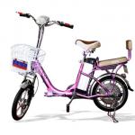 Hot sales 16&quot; electric mountain bike 250w green power electric bike made in china-TDP01Z-DSBB