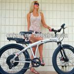 190USD Rear disc motor 48v10A li battery bicycle kit-