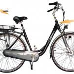 Electric bicycle with Lithium battery