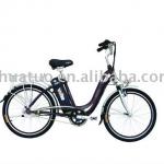 Electric bike TDH01Z EN15194