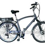 250W ducthman Electric bicycle-AF7008