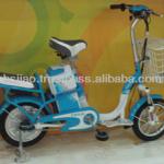 SLA electric bike