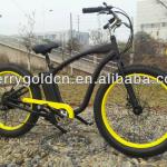 buy sport racing MTB fat tire electric bike bicycle