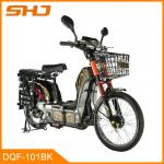 500W Brushless DC Motor Price Competitive Electric Bicycle