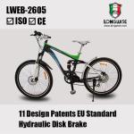 Electric Patent mountain bike 2 years warranty-LWEB--L2605