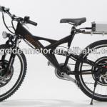 Giant Brand! 2000W Electric Bicycle ! Magic Pie 3 Hub Motor-PIANT-D
