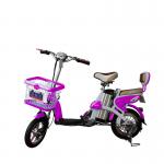 sale with EN-15194 Hot Selling 250w electric bike-TDL01Z-MLTS