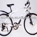 Electric bicycle (Model SEB300U)