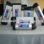 Water bottle Li-ion battery 24V10AH for E-bike-