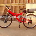 E bike conversion kit with dual motor-Dual Motors