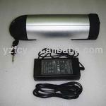 Lifepo4 Electric bike battery-