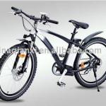 26&quot; Electric mountain bicycle with PAS-