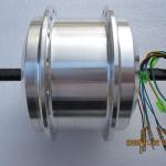 Cute 350W/500W Permanent Magnet Brushless Geared High Speed Hub Motor for Electric Bike-