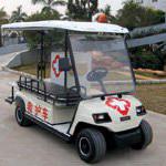 2 seaters ambulance buggy-