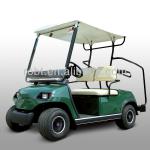 2 Seater Electric Golf Carts/Sightseeing cars-