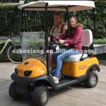 Single seat electric golf cart with mini electric golf cart 36V/1200W, CE Approved electric utility vehicle-
