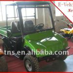 Electric Vehicle/Golf Carts-