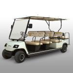 Electric Sightseeing Car with 11-Seater-