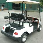 2 seater Electric Golf carts EEC ceritificate Golf cart-