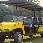 Beautiful 8-11 Seater Custom Electric Golf Cart-