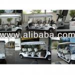 Golf Cart Model. Golf Pius D 6S Classroom-