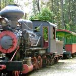 Steam Locomotive-