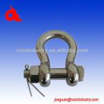 stainless steel anchor D Shackle-SC081901