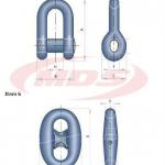 crosby type dee shackle with nut-MDS-001