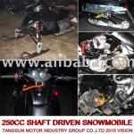 TS300-A snowmobile motor ski-