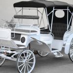 White Wedding Horse Carriage, royal cinderella carriage-BTH-11 cinderella carriage