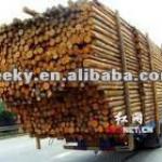 wood transport truck trailer-