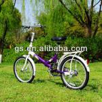 20&quot; Steel folding bike GS1602