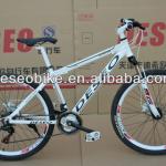 2014 21 Speed disc brakes Aluminum alloy MTB bicycle 320