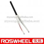 Bicycle carbon Fork RC207