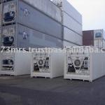 Carrier / Thermo King Reefer 40 Feet Container