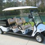 citEcar 6p Street Legal Golf Cart