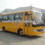Dongfeng 10-45 Seats School Bus(DFA6820KB05) DFA6820KB05