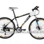 Economical and Practical Type Bicycle S007