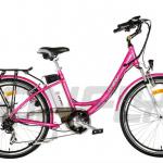 EN15194 approved Electric Bicycle HF-261104A