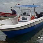 Fiberglass Boat, Outboard engine 28ft Center Console