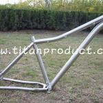 Gade 9 Titanium Fat Bike Frame ID44mm Headtube/Belt Drive/Sliding Dropouts