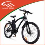 Green Power Electric Bike Strong 48V500W LMTDF-02L LMTDF-02L